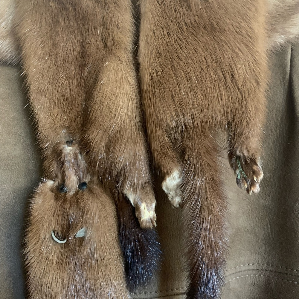 Real Mink Coat With Real Mink Animal Stole. Vintage View 2